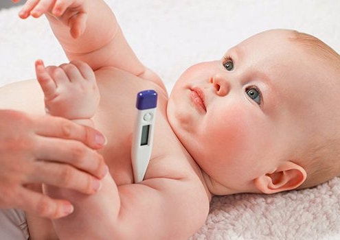 خدمات ویژه آمبولانس خصوصی سفیر حیات | انتقال ایمن بیماران اورژانسی و مراقبتهای ویژه در تهران، کرج و سراسر ایران با تجهیزات مدرن