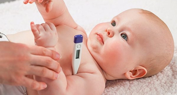 خدمات ویژه آمبولانس خصوصی سفیر حیات | انتقال ایمن بیماران اورژانسی و مراقبت‌های ویژه در تهران، کرج و سراسر ایران با تجهیزات مدرن