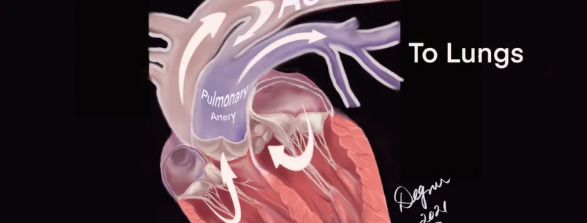خدمات ویژه آمبولانس خصوصی سفیر حیات | انتقال ایمن بیماران اورژانسی و مراقبت‌های ویژه در تهران، کرج و سراسر ایران با تجهیزات مدرن