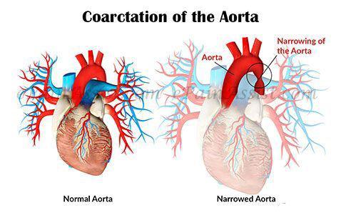 خدمات ویژه آمبولانس خصوصی سفیر حیات | انتقال ایمن بیماران اورژانسی و مراقبتهای ویژه در تهران، کرج و سراسر ایران با تجهیزات مدرن