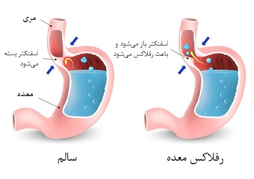 خدمات ویژه آمبولانس خصوصی سفیر حیات | انتقال ایمن بیماران اورژانسی و مراقبتهای ویژه در تهران، کرج و سراسر ایران با تجهیزات مدرن