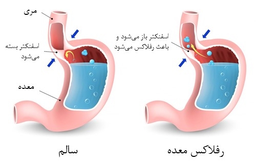 خدمات ویژه آمبولانس خصوصی سفیر حیات | انتقال ایمن بیماران اورژانسی و مراقبت‌های ویژه در تهران، کرج و سراسر ایران با تجهیزات مدرن