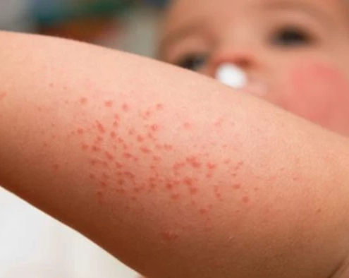 خدمات ویژه آمبولانس خصوصی سفیر حیات | انتقال ایمن بیماران اورژانسی و مراقبتهای ویژه در تهران، کرج و سراسر ایران با تجهیزات مدرن