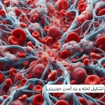 خدمات ویژه آمبولانس خصوصی سفیر حیات | انتقال ایمن بیماران اورژانسی و مراقبت‌های ویژه در تهران، کرج و سراسر ایران با تجهیزات مدرن