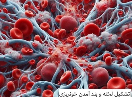 خدمات ویژه آمبولانس خصوصی سفیر حیات | انتقال ایمن بیماران اورژانسی و مراقبت‌های ویژه در تهران، کرج و سراسر ایران با تجهیزات مدرن