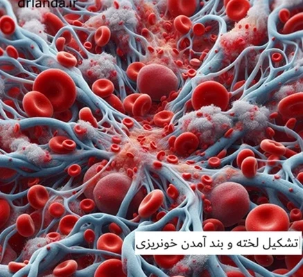 خدمات ویژه آمبولانس خصوصی سفیر حیات | انتقال ایمن بیماران اورژانسی و مراقبتهای ویژه در تهران، کرج و سراسر ایران با تجهیزات مدرن