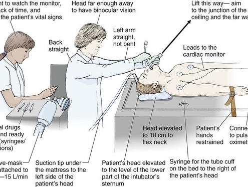 خدمات ویژه آمبولانس خصوصی سفیر حیات | انتقال ایمن بیماران اورژانسی و مراقبتهای ویژه در تهران، کرج و سراسر ایران با تجهیزات مدرن