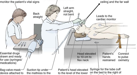 خدمات ویژه آمبولانس خصوصی سفیر حیات | انتقال ایمن بیماران اورژانسی و مراقبت‌های ویژه در تهران، کرج و سراسر ایران با تجهیزات مدرن