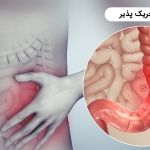 خدمات ویژه آمبولانس خصوصی سفیر حیات | انتقال ایمن بیماران اورژانسی و مراقبت‌های ویژه در تهران، کرج و سراسر ایران با تجهیزات مدرن