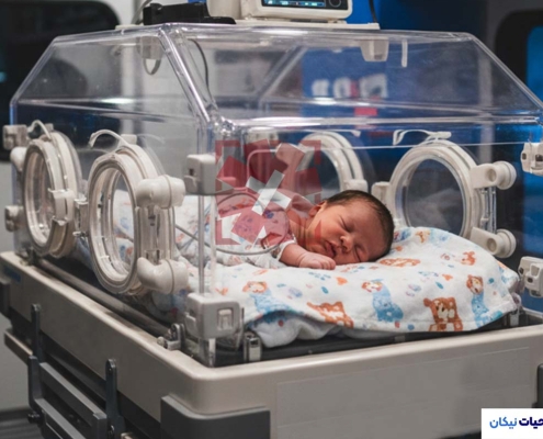 جابجایی تخصصی نوزادان نارس با آمبولانس مجهز